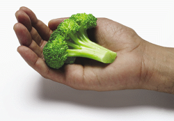 Health benefits of eating broccoli (Photo: Wikimedia)